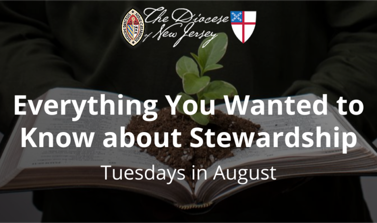 Everything You Wanted to Know About Stewardship