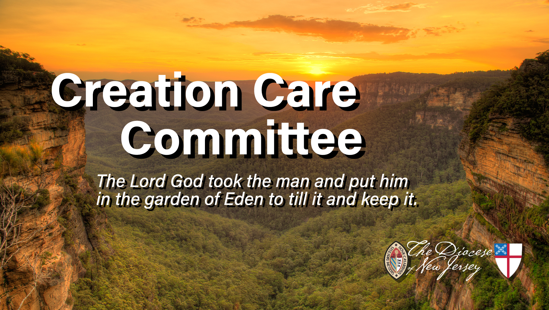 Creation Care Committee