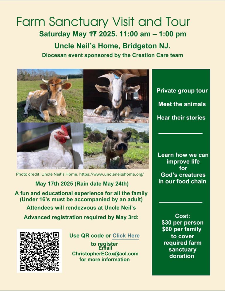Diocesan Creation Care Field Trip